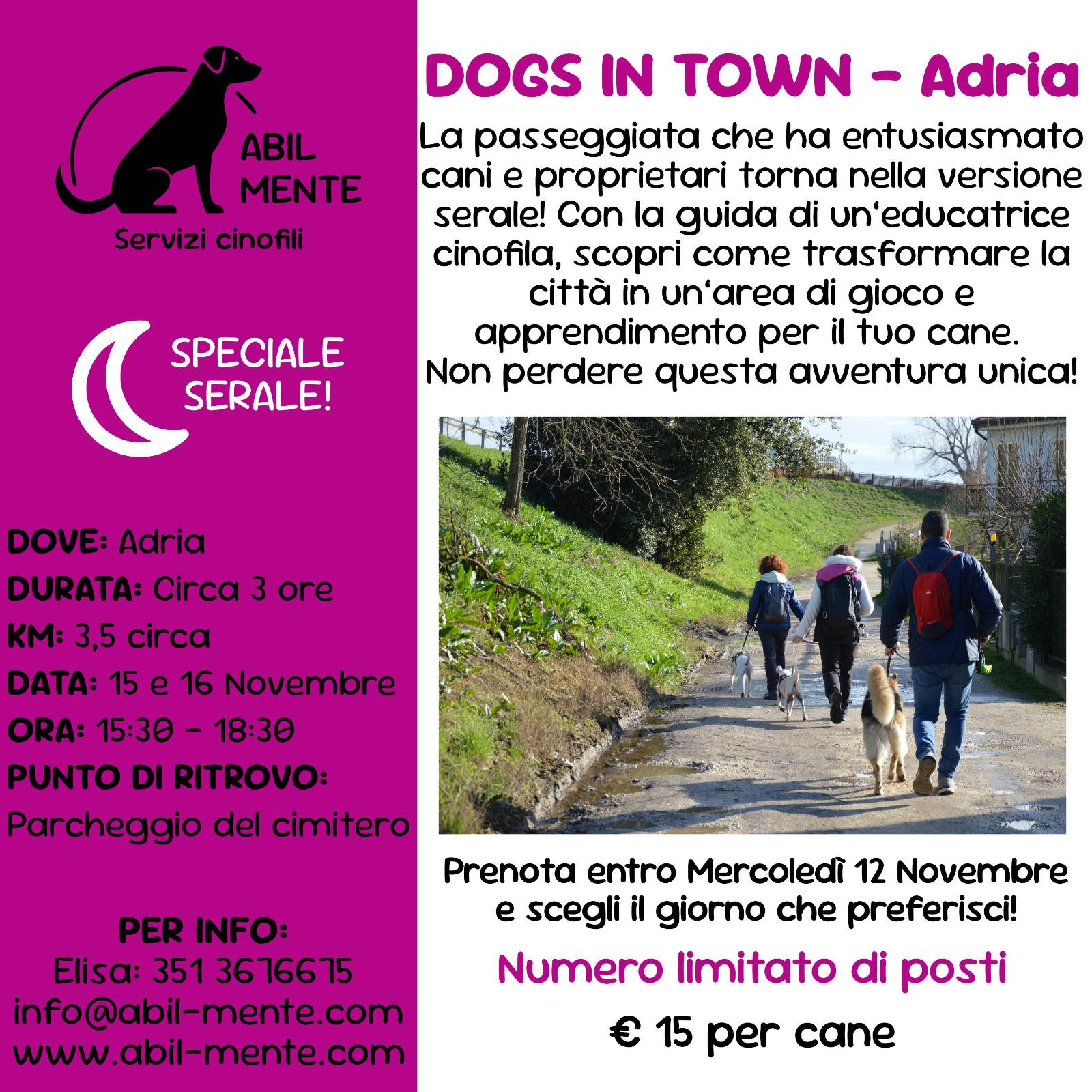 Dogs in Town - Adria - Decima edizione