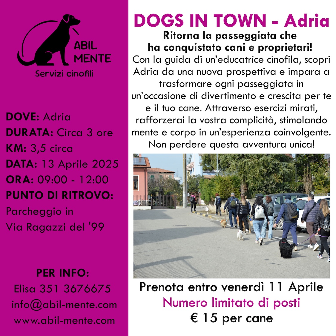 Dogs in Town - Adria - Terza edizione