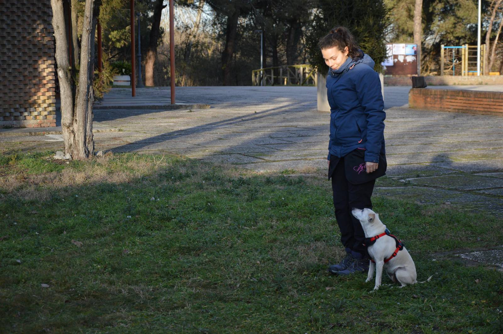 Educatore, Addestratore o Istruttore Cinofilo?