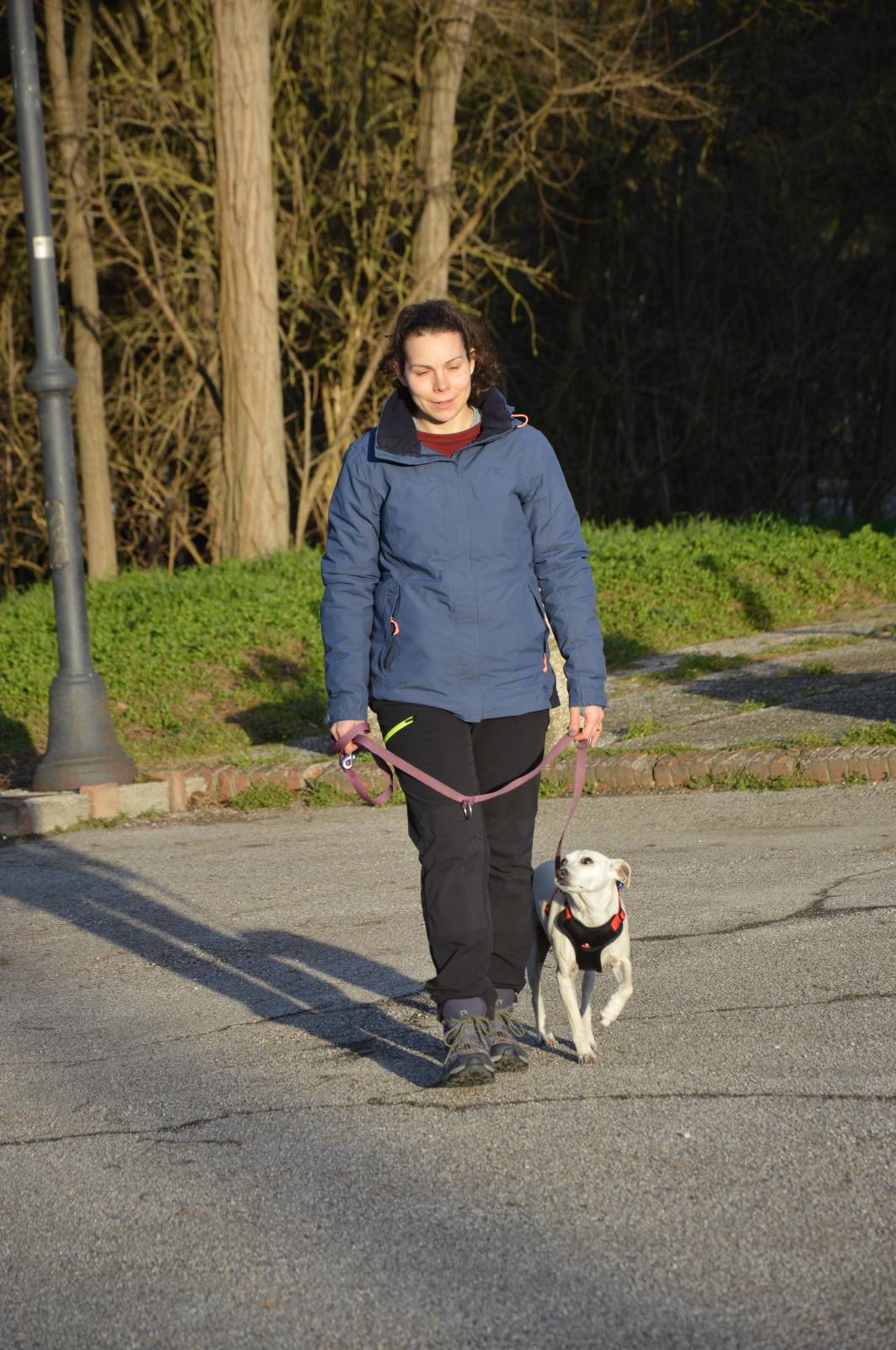 Il guinzaglio: come sceglierlo e come usarlo