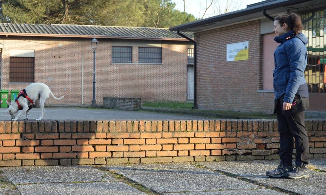 Elisa Trombini - Educatrice cinofila