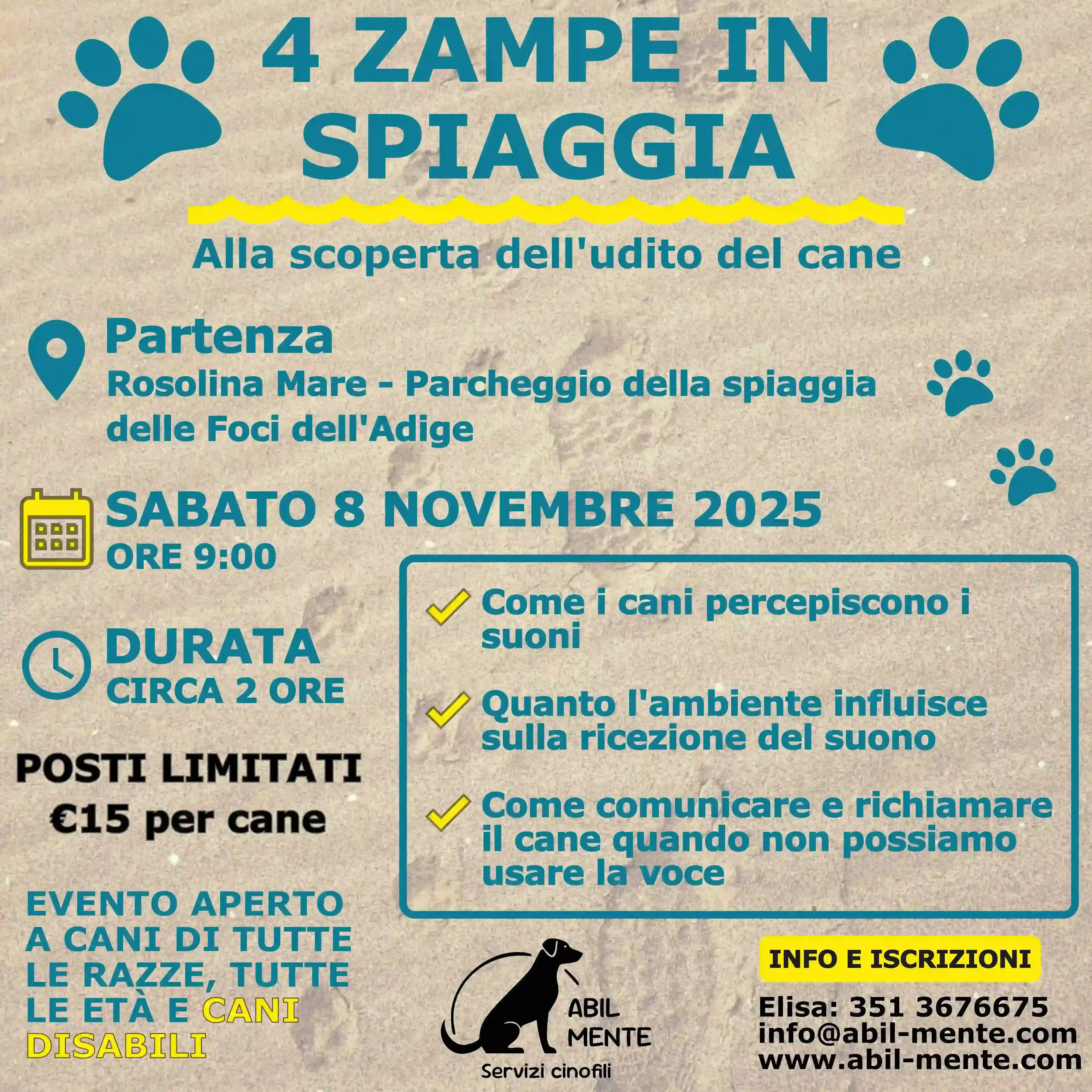 4 Zampe in Spiaggia