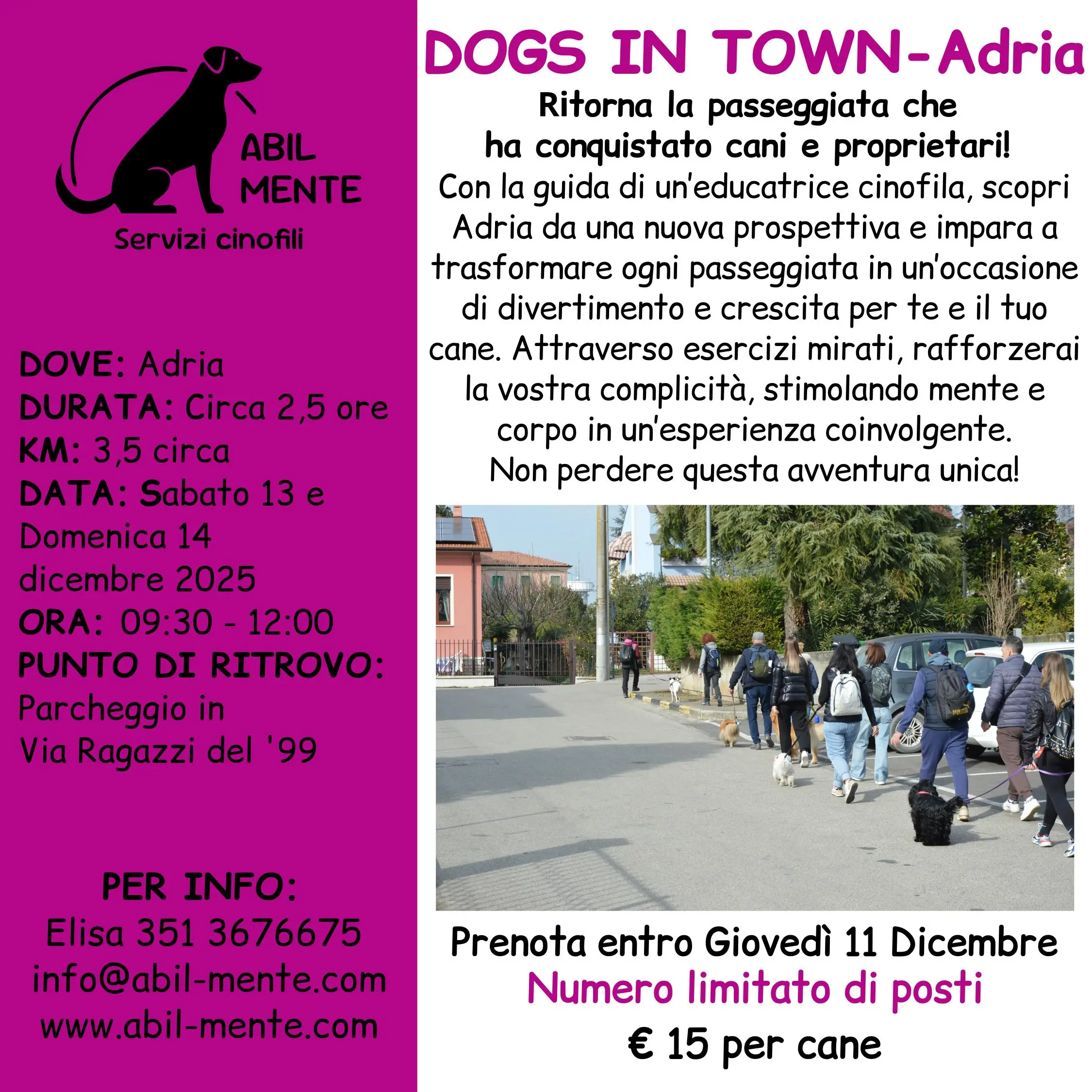 Dogs in Town - Adria - Undicesima edizione