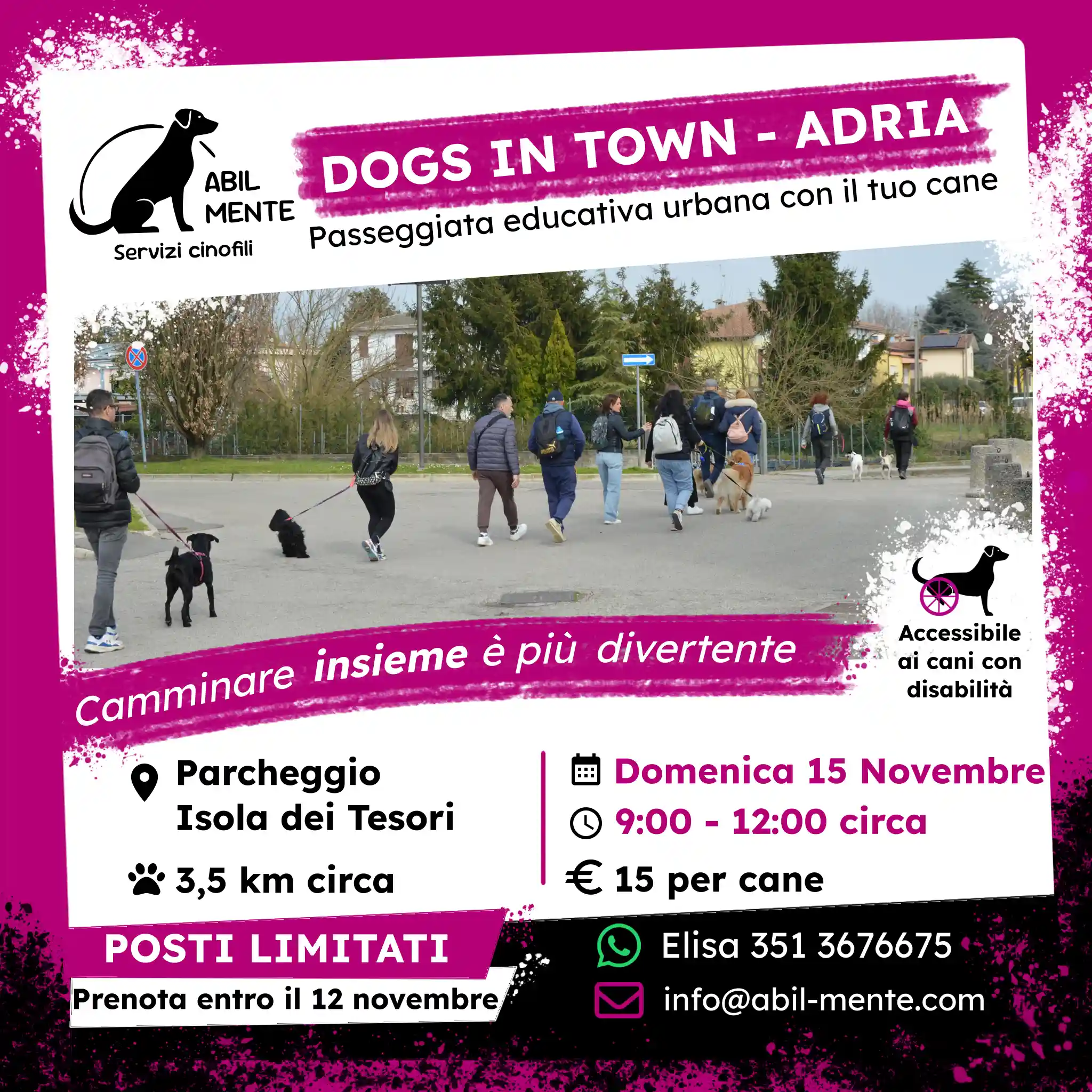 Dogs in Town - Adria - Diciannovesima edizione