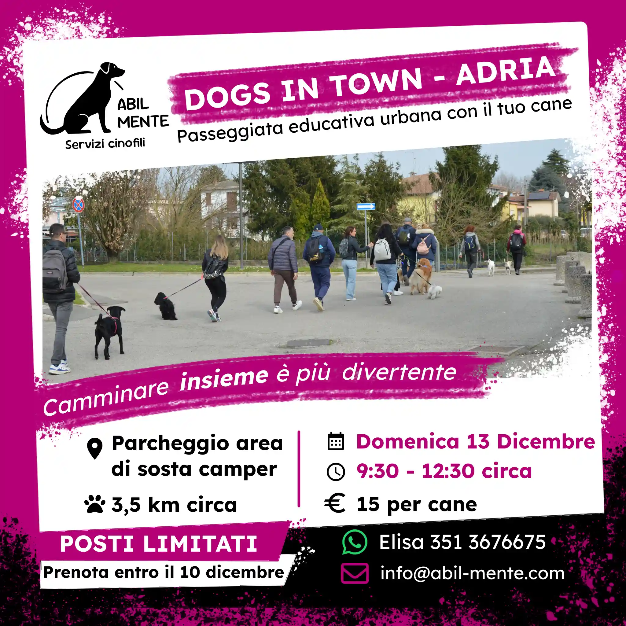 Dogs in Town - Adria - Ventesima edizione