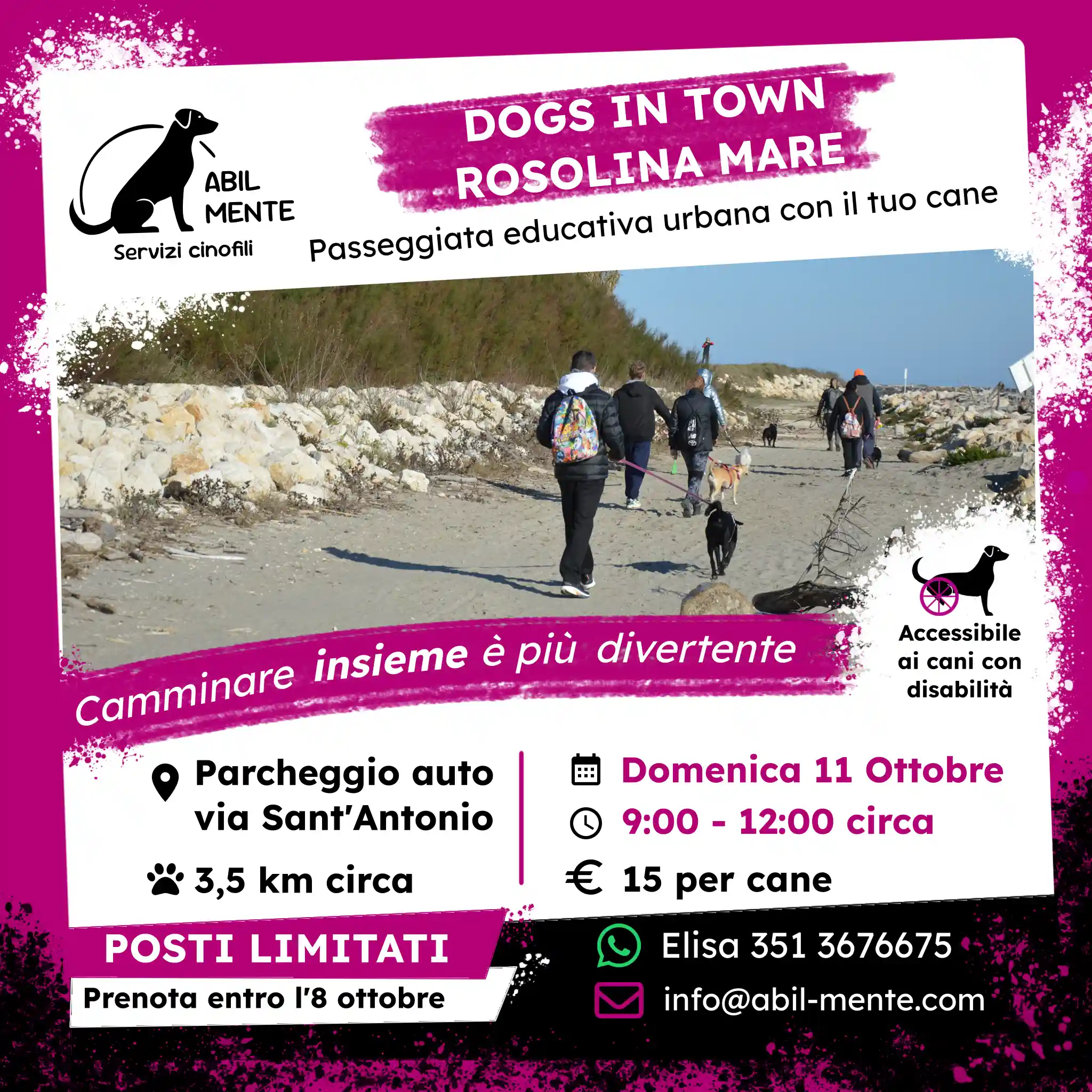 Dogs in Town - Rosolina Mare - Seconda edizione